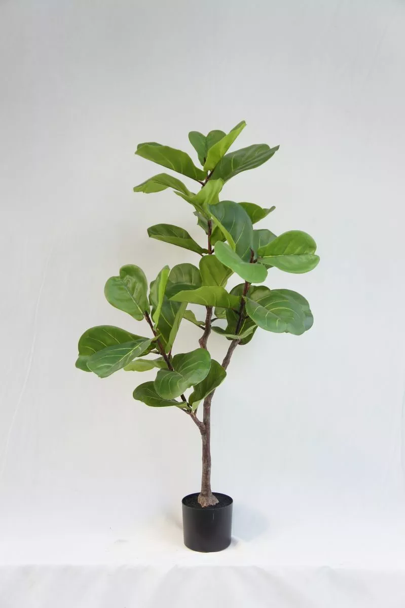 Artificial Newest Ficus Lyrata, 120 CM
